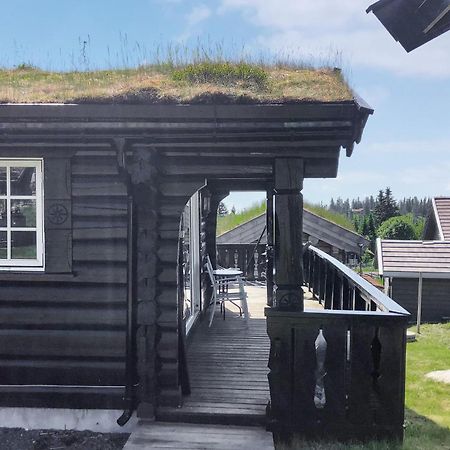Sjusjoen Setergrend 4730 Villa Dış mekan fotoğraf